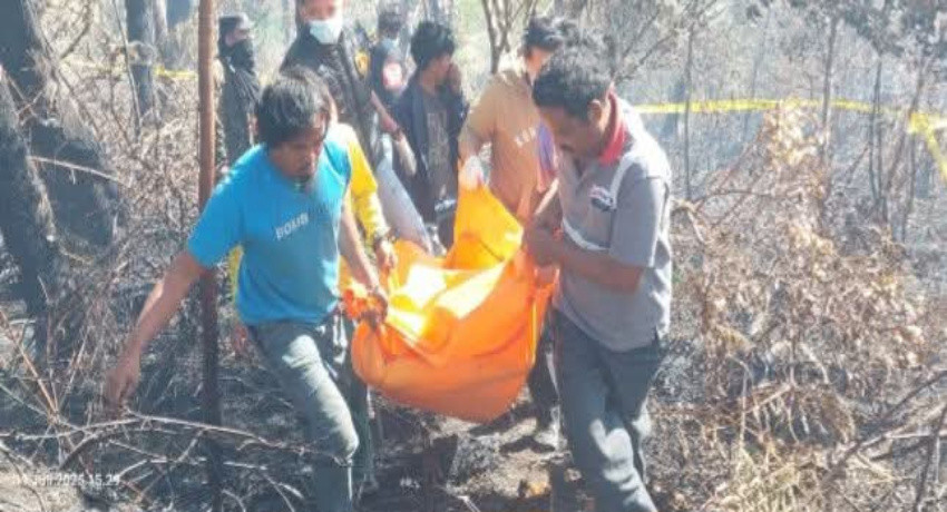 Bakar Semak Belukar Ladang, Seorang Wanita di Humbahas Tewas Terperangkap Api