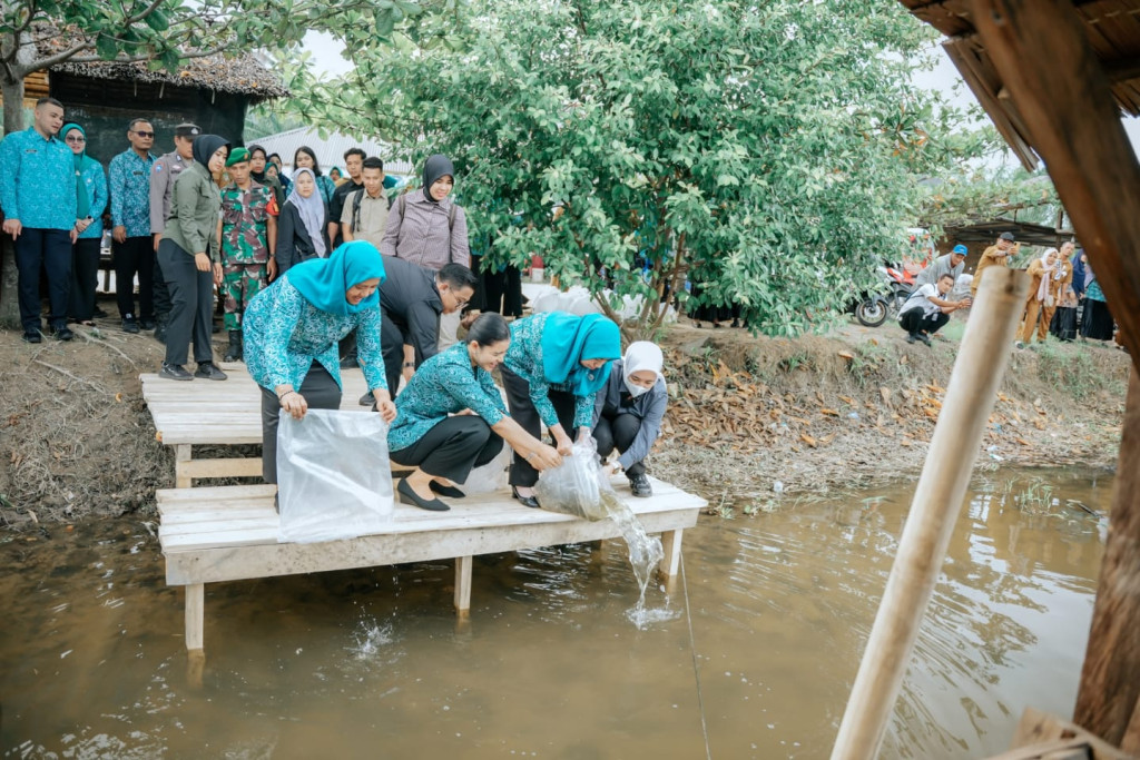 Dorong Swasembada Pangan di Langkat, Kahiyang Ayu Tabur 15.000 Benih Ikan