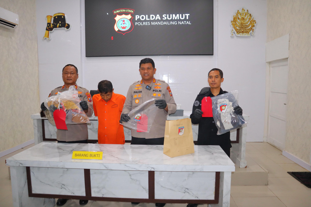 Anak Durhaka di Madina, Bacok Ibu hingga Tewas karena Dinasehati Berhenti Narkoba