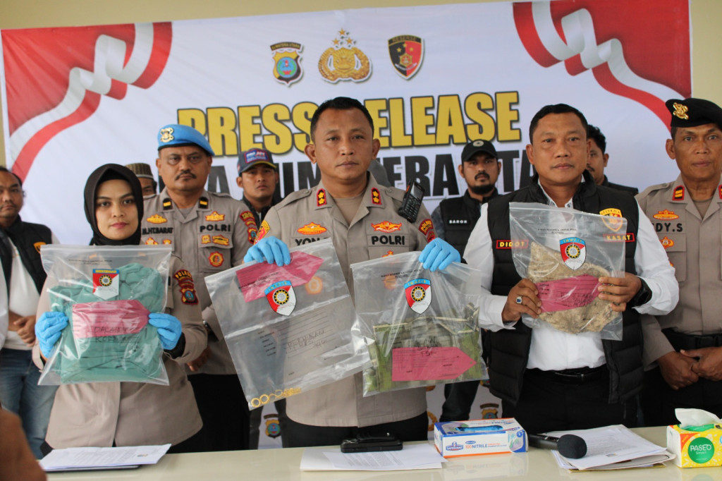 Dikira Tewas Terjatuh, Wanita Paruh Baya di Paluta Dibunuh Keponakannya karena Perhiasan