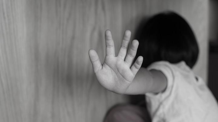 Dipergoki Istri, Seorang Ayah di Sergai Cabuli Anak Kandung di Belakang Rumah