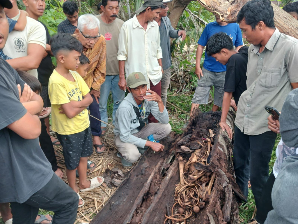 Tulang Belulang Dalam Pohon Aren Hebohkan Warga Sergai Sumut