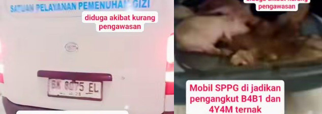 Viral Mobil SPPG di Sumut Angkut Babi, BGN: Sudah Lapor Polisi