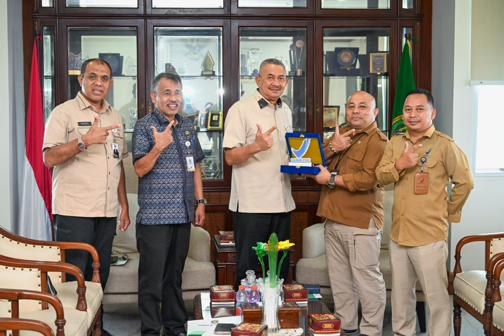Sekda Sumut Dorong BBPOM - Dinkes Perketat Pengawasan Obat Kecantikan Rumahan dan Vape