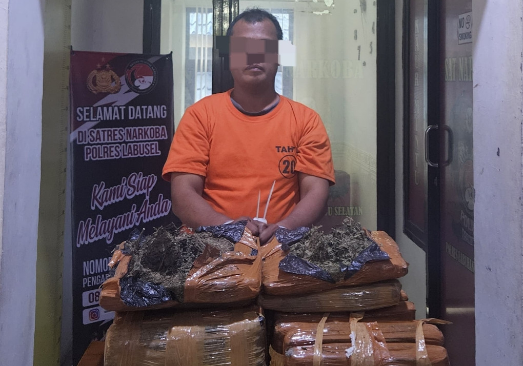 Bawa Ganja 26 Kg, Seorang Pria Warga Padang Ditangkap Polres Labusel