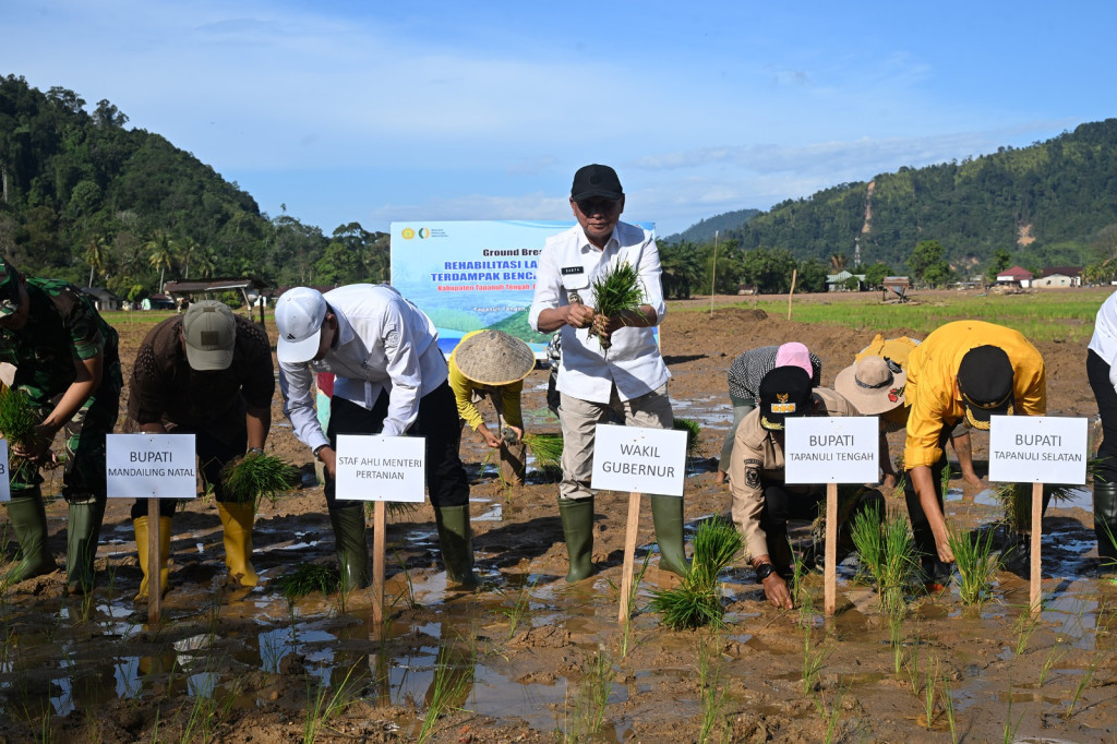 37.318 Hektare Lahan Pertanian Terdampak Bencana di Sumut Direhabilitasi, Kementan Gelontorkan Rp78,5 Miliar