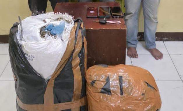 20 Kg Ganja dari Aceh Gagal Beredar di Medan, 3 Kurir Ditangkap Ditresnarkoba Polda Sumut