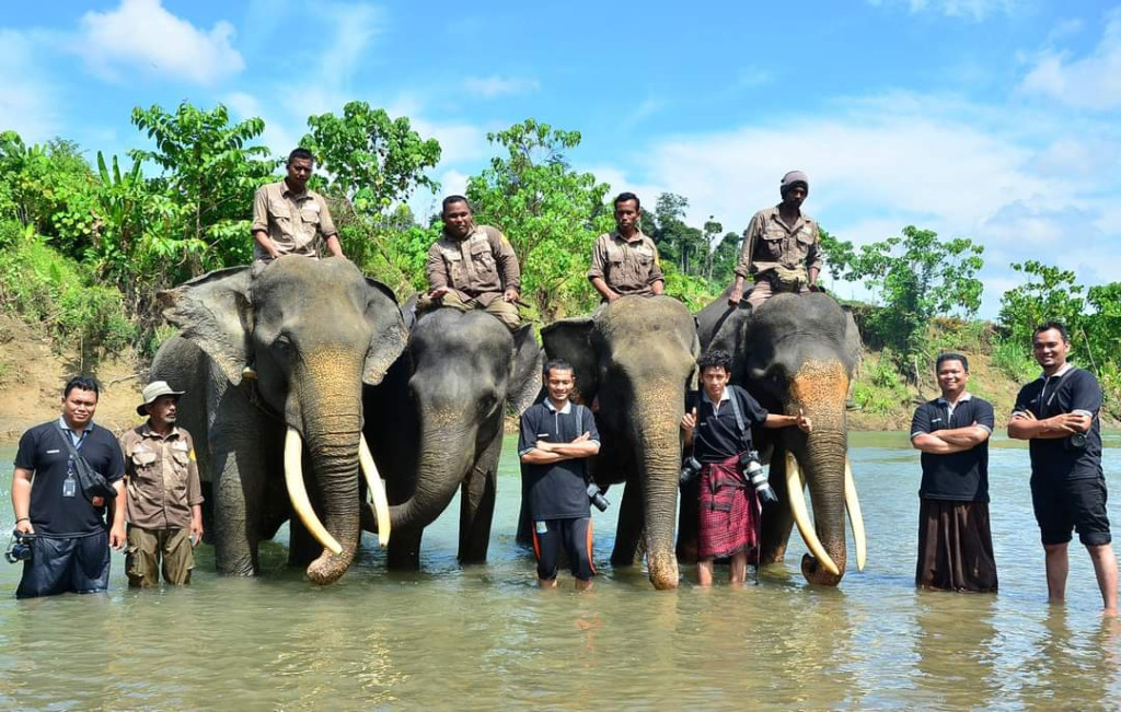 Rahmat Zoo And Park Sumut Didesak Terbuka Soal Kematian Gajah Ratna