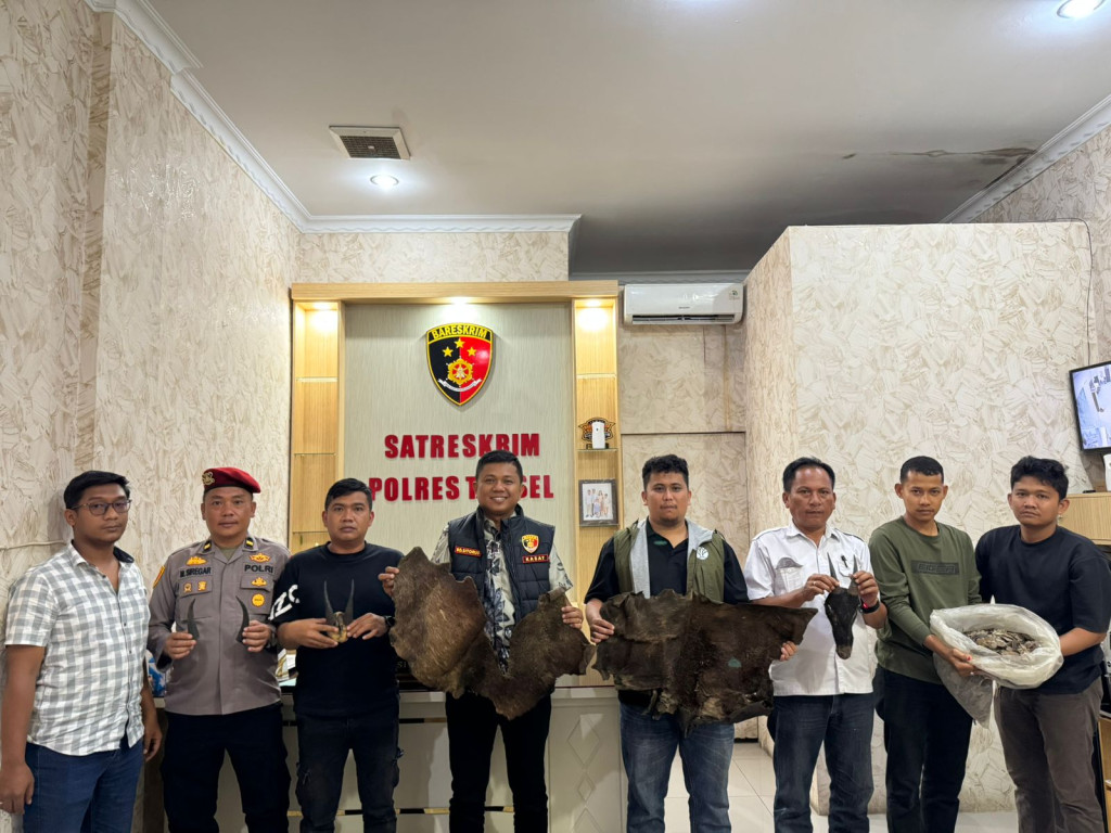 Gagalkan Perdagangan Satwa, Sisik Trenggiling, Tanduk Kambing Hutan hingga Kulit Kijang Diamankan di Tapsel
