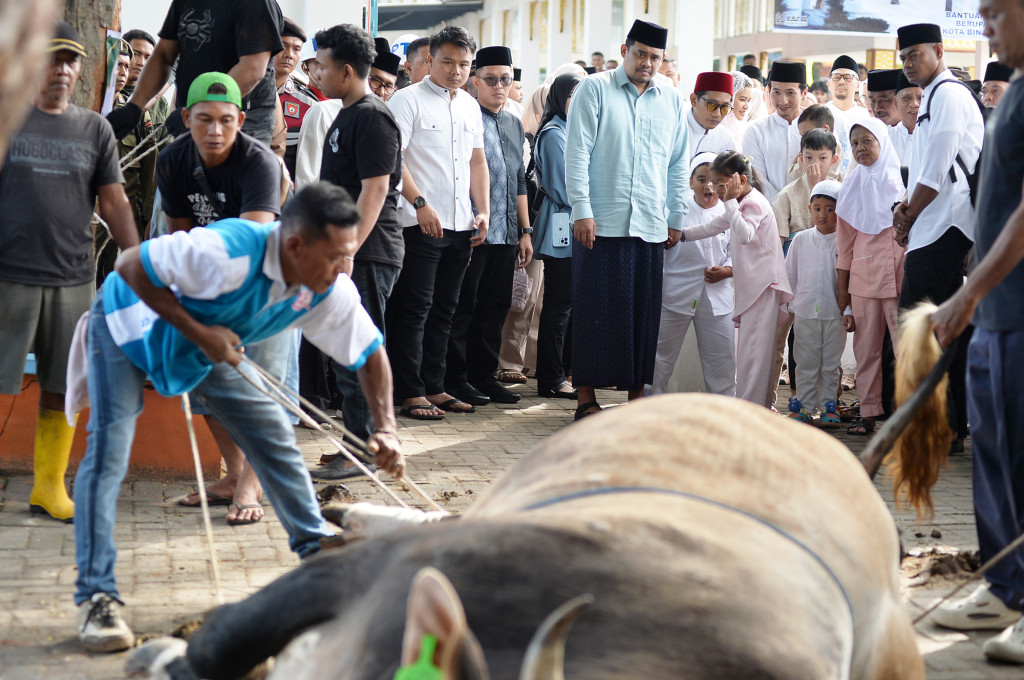 Bobby Nasution Salat Id di Binjai, Pemprov Sumut Salurkan 167 Hewan Kurban
