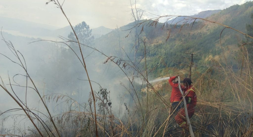 Sempat Padam, Lahan di Menara Pandang Tele Samosir Kembali Terbakar