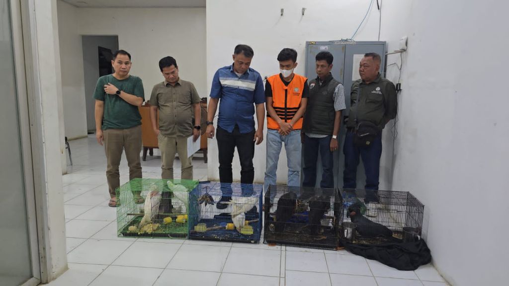 7 Burung Langka Endemik Papua dan Maluku Gagal Diselundupkan ke Thailand dari Sumut